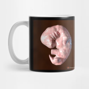 Human Embryo Mug